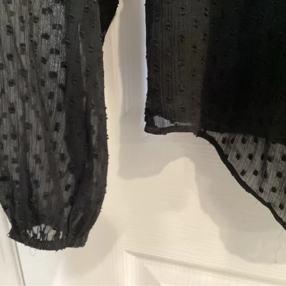 Abercrombie & Fitch Black Sheer Blouse - Picture 5 of 9